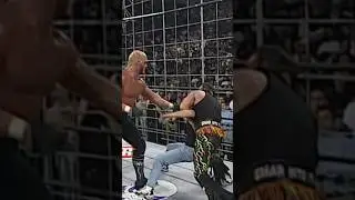 Macho Man And Hulk Hogan Beat Up A Fan