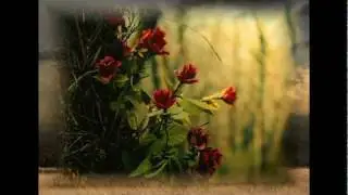 Signals To Her Heart - Wingmakers Poetry & Liquid Mind Music.mpg