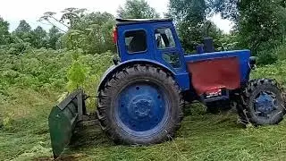 Борьба с борщевиком. Обзорчик лопаты.