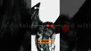Chernobyl's Black Bird. The Ominous Sign Before Disaster!