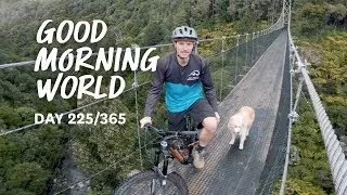 Good Morning World | Day 225 of 365 - Ruapehu, Timber Trail