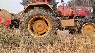 Extreme Muddy Field Tractor Cultivation | Real Village Farming