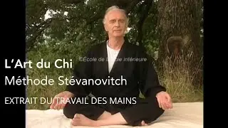L'Art du Chi- Le travail des mains par Vlady Stévanovitch