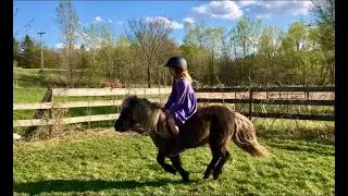 5 Tips for Riding Bareback 🐎