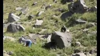 En b&uacute;squeda de las Yerbas Andinas por la Ruta del C&oacute;ndor.