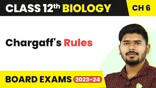 Class 12 Biology Chapter 6 | Chargaff's Rules - Molecular Basis of Inheritance (2022-23)