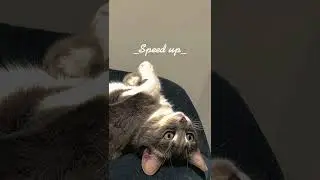 Земфира-,,До свидания