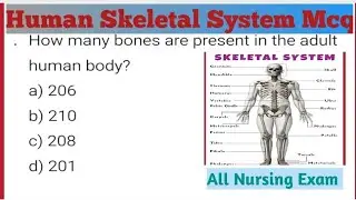 Human Skeletal System Mcq I SkeletalSystem Questions and Answers | biology mcq