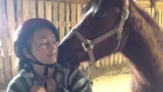 Horse hugs Girl