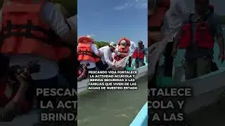 Repoblaci&oacute;n de bancos ostr&iacute;colas en Para&iacute;so