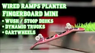 Wired Ramps Planter Fingerboard Mini | Wush Decks | Fingerboard Mini | Cartwheels | Dynamic Trucks