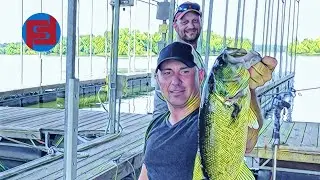 Local shares BIG BASS SECRET: Dog Days of Summer Fishing Technique that WORKS