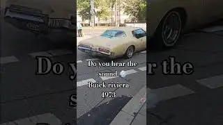 power by the 7.5-liter V8, produced 315 or 330 SAE hp (Riviera GS) (from 1972: 253 or 264 net hp).