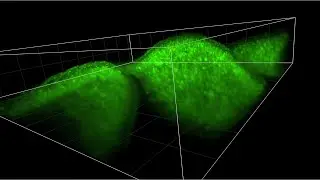 New 'BRAIN' Tool Helps Researchers Watch Neural Activity in 3D