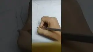 @Nobo Short Drawing