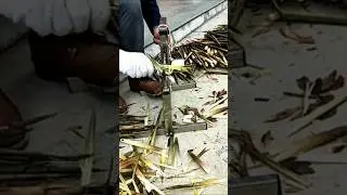 Bamboo shoot processing: using a unique peeling machine!