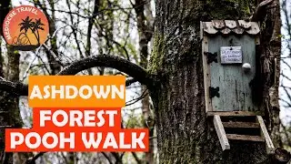 Ashdown Forest   Winnie the Pooh walk