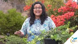 Smart Plants #OCisGardenSmart