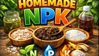 Organic Fertilizer recipes: Liquid N, P & K teas & easy compost alternative 4 jumpstarting a garden