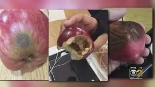 Blue Island High Schooler Says Cafeteria Food Made Her Sick Last December