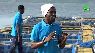 AYEKOO: Cage Fish Farming in Ghana