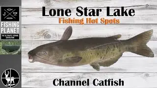 Как поймать канального сома | Озеро Лон-Стар | Лучшие места для рыбалки на Fishing Planet