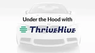 Under the Hood with ThriveHive