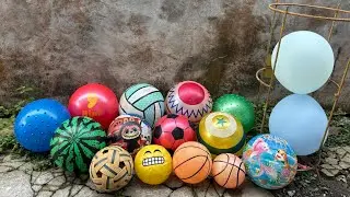 FUNNY BALLOON AND BALL HUNTING 387