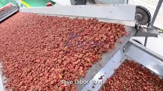 Hawthorn dryer Plum dryer Apple dryer