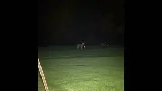 Big buck see spotlighting #deer #bucks #outdoors #spotlight