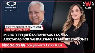 Micro y peque&ntilde;as empresas las m&aacute;s afectadas por vandalismo en manifestaciones: CANACO- CDMX.