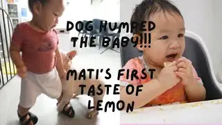 VLOGMAS 2020 DAY 11 & 12 : Glimpse into Toddler Life