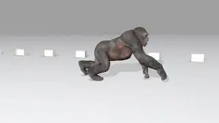 Gorilla run cycle   # Creature animation