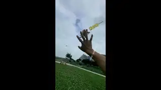 Flying Sugar Glider # Flying Throw # Charming Pet's Confused Behaviors # Little Flying Mouse