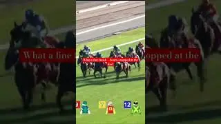 What a fine finish &mdash; hearts stopped at the line! #horse #horseblood #shorts #ytshorts