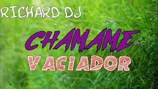 CHAMAME VACIADOR   Dj Richard   Imperial Mix® 14   MEGAMIX