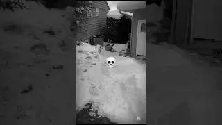 Huge sled jump!! #sledding #snow #crash