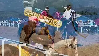 El Vikingo🆚La Morena del Sr 200mts en Huepac Sonora 11 de Agosto