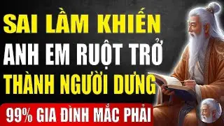 10 Sai Lầm Khiến Anh Em Ruột Trở Thành Người Dưng Mà 90%% Gia Đình Đều Mắc Phải