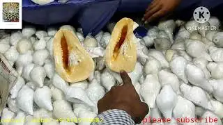 New Digha sankha dukan contact number (+918145774882)@sankhakar