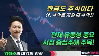 이전 전략 복기할 시기, 시장은 항상 눌림목 존재! #중심주 #수익 #유동성 #김정수