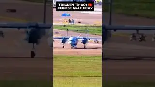 Tengden TB-001 Chinese Male UCAV the Twin Tailed Scorpion