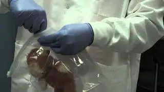 Specimen packaging and shipping training video part 1