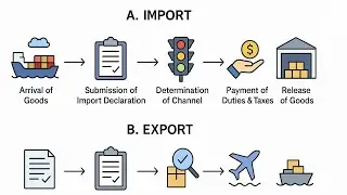 Import and Export Customs Clearance Process
