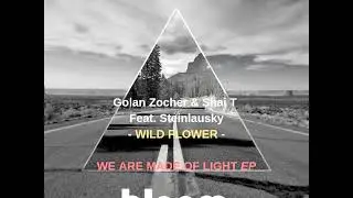 FREE DOWNLOAD  Golan Zocher, Shai T Feat  Steinlausky   Wild Flower Original Mix BRFD005
