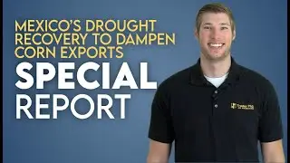 Could Mexico&rsquo;s Drought Recovery Dampen Corn Exports?