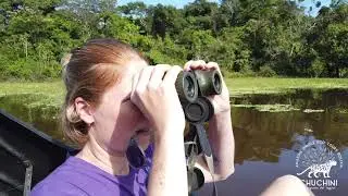 Wildlife Spotting at Chuchini Lagoon &ndash; CHUCHINI Amazon Jungle Eco Tours