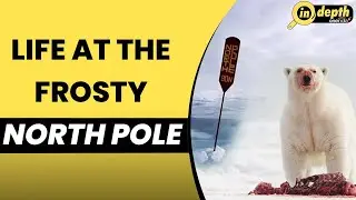 North Pole: All about the Geographic North and how climate change is affecting it | In depth