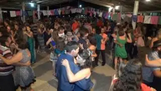 Musical Os Filhos do Rio Ponte