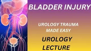 Bladder Injury | Urology Trauma | Diagnosis & Management